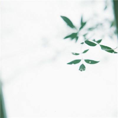 把学生成绩发群里惹怒家长 河南一小学老师辞职